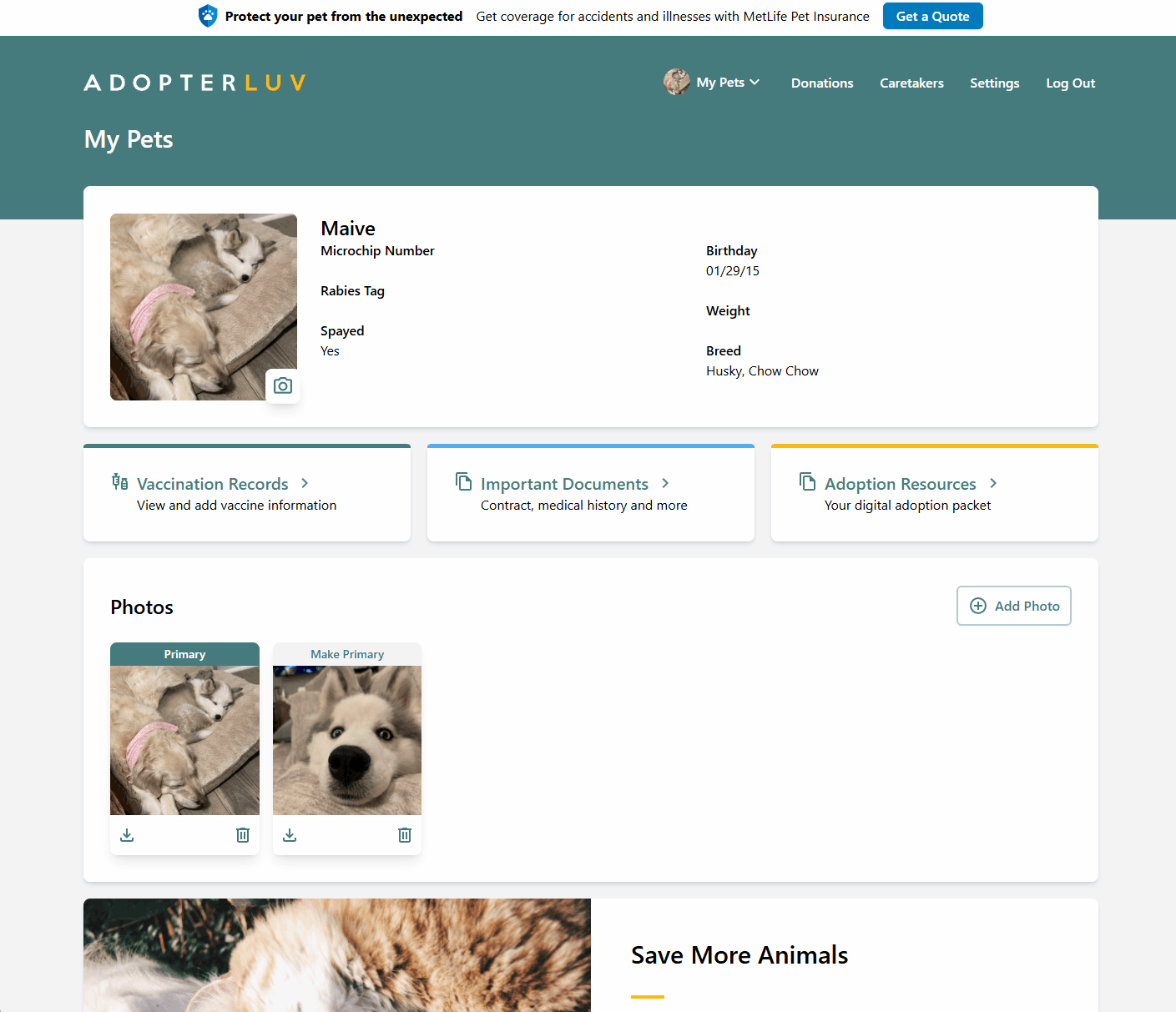 Upload document to Adopterluv account.gif