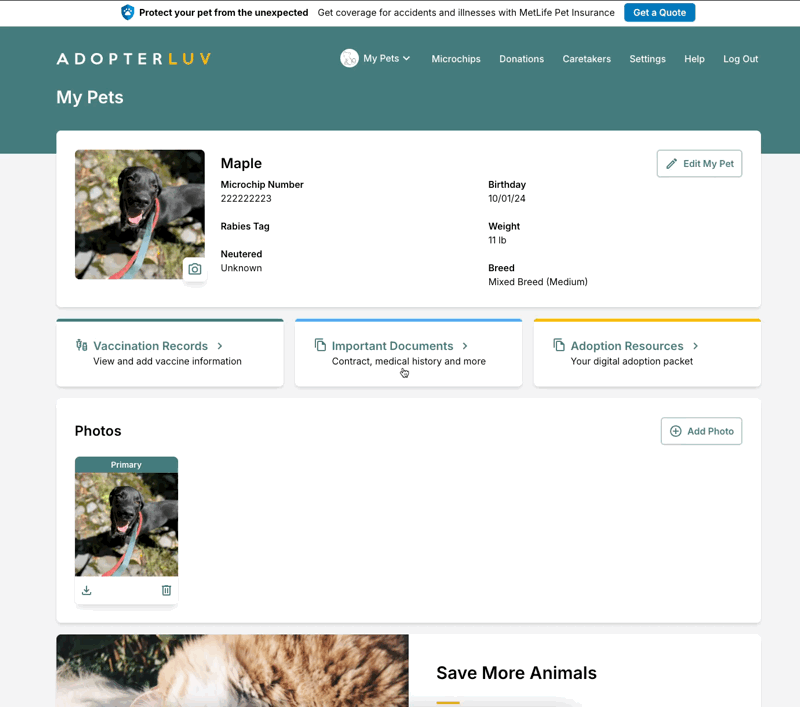 Mark Pet Deceased In Adopterluv.gif